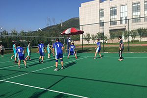 我公司在2017年普灣經(jīng)濟(jì)區(qū)職工排球賽中獲得佳績